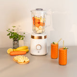 BLW-1000S BLENDER